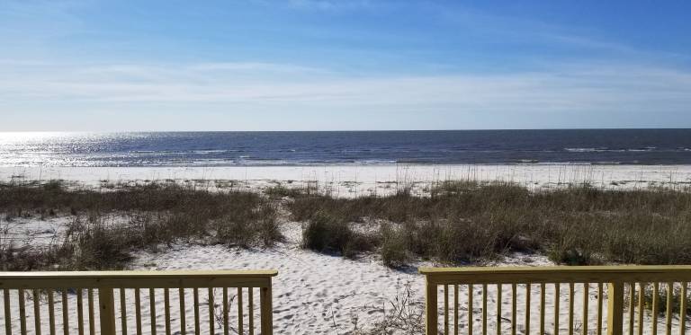 House Alligator Point
