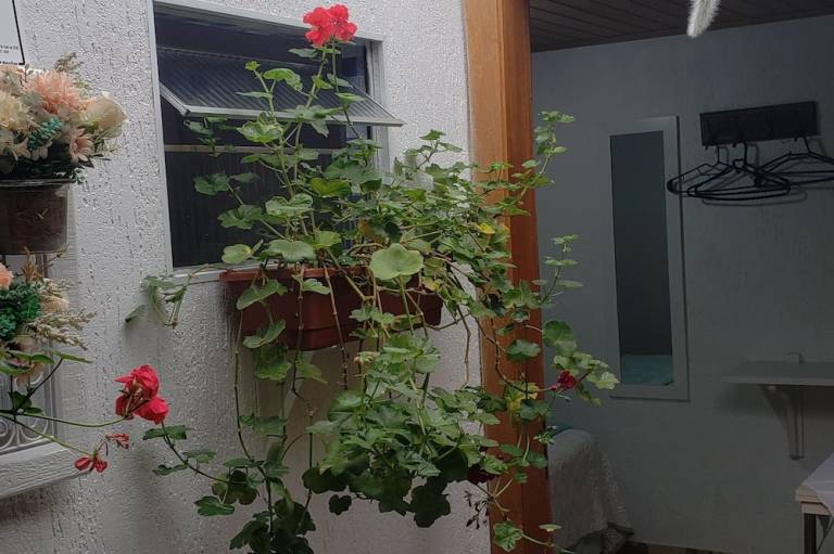 foto29