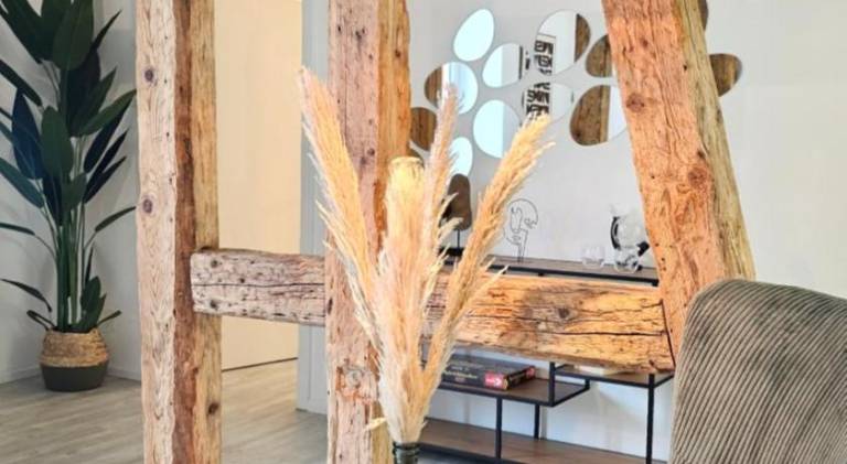 Pleasant holiday apartment | Pet-friendly — photo 3