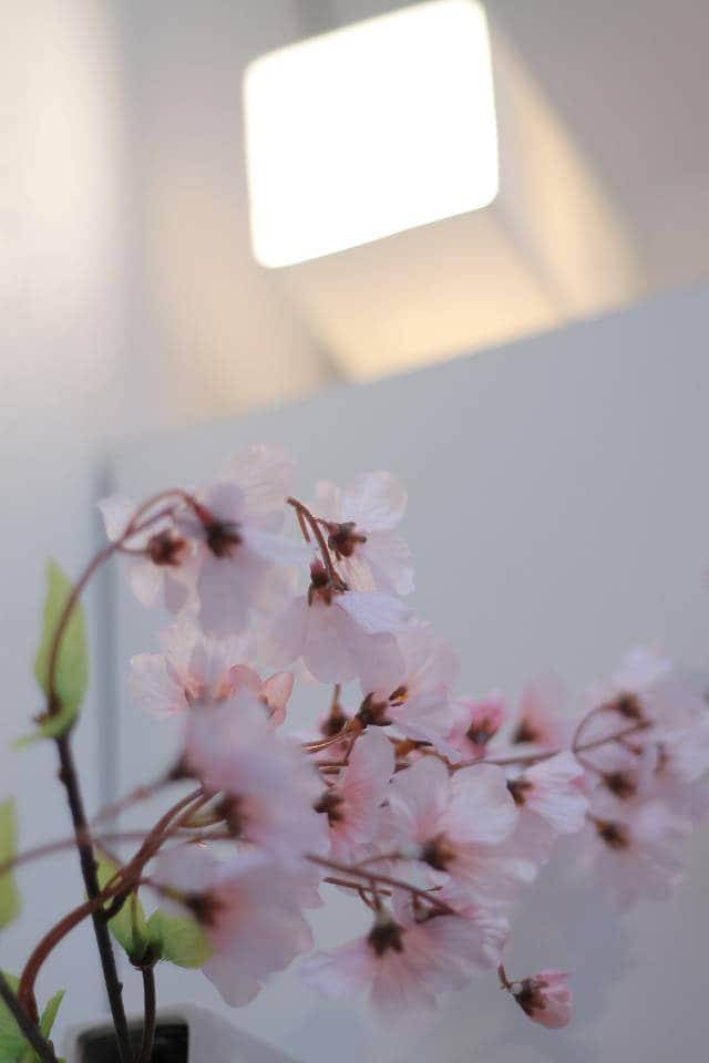 foto23