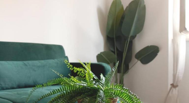 Pleasant holiday apartment | Near Santa Maria della Spina | Pet-friendly — photo 3