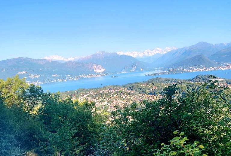 foto1
