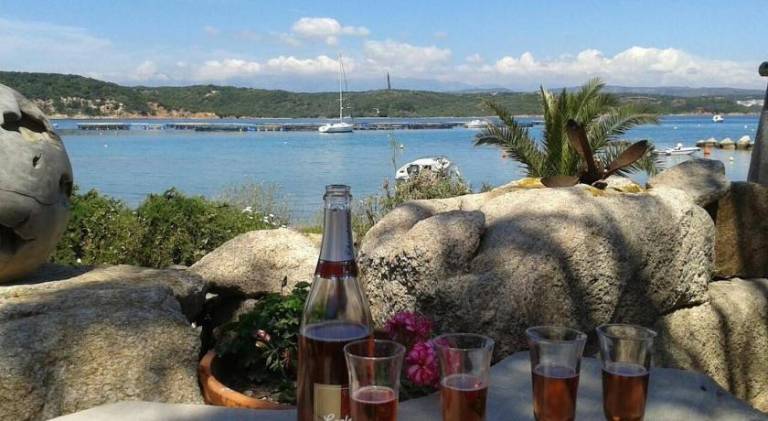 Villa with pool | Close to the beach | Dogs allowed in Bonifacio