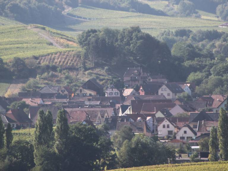 foto41