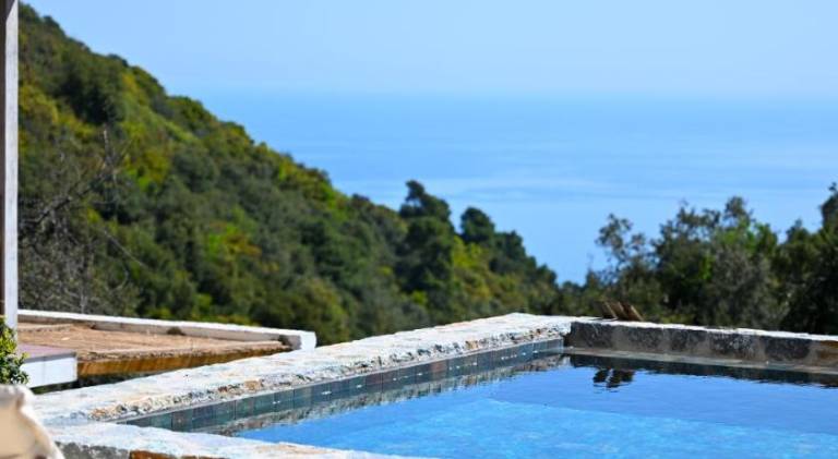 Villa with pool — photo 3