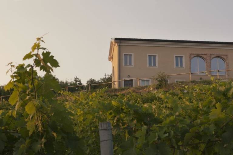 Yurta ippocastano