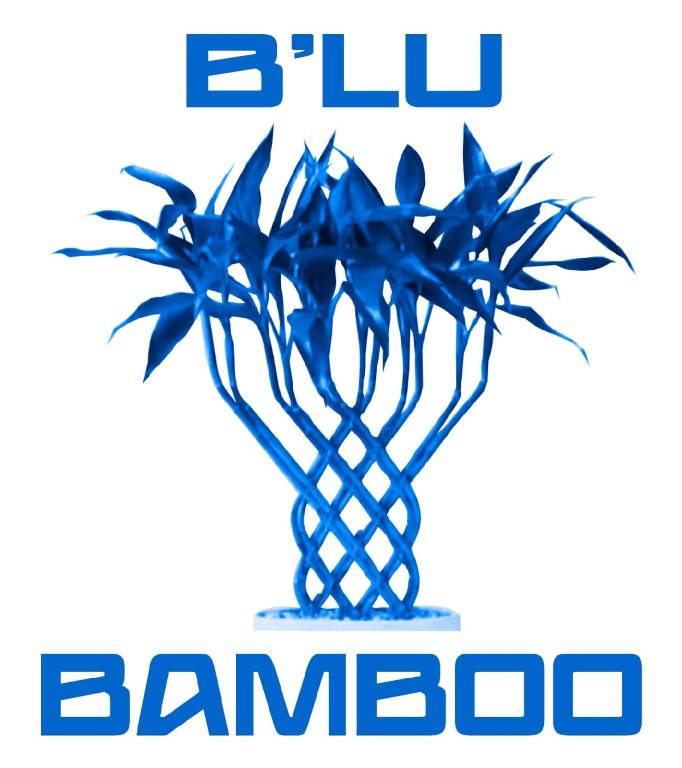 B'lu Bamboo (GH. A.RB) — photo 4