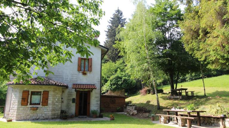 Ferienhaus Mel
