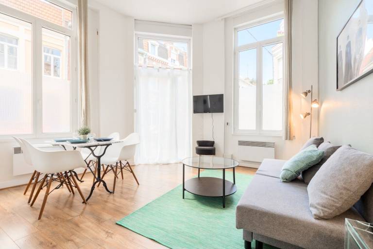 Apartment Lille