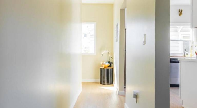Cozy Sunny Brand-New Apt 1 Block From the Beach — photo 4