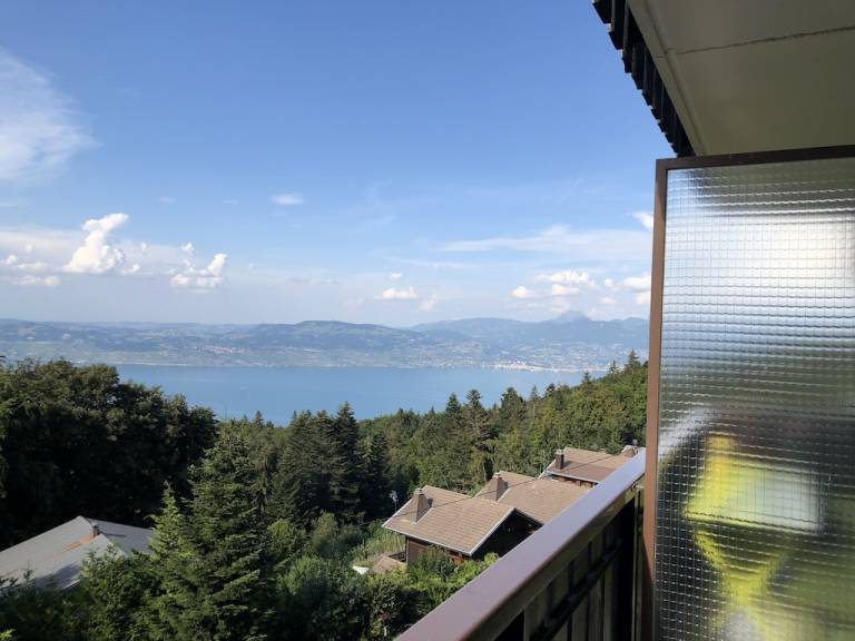 Appartement Lugrin
