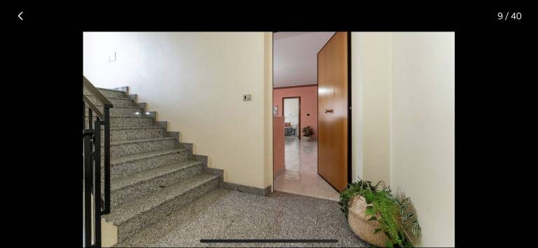foto17