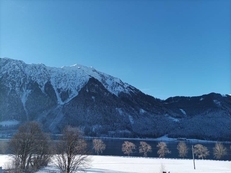 foto11