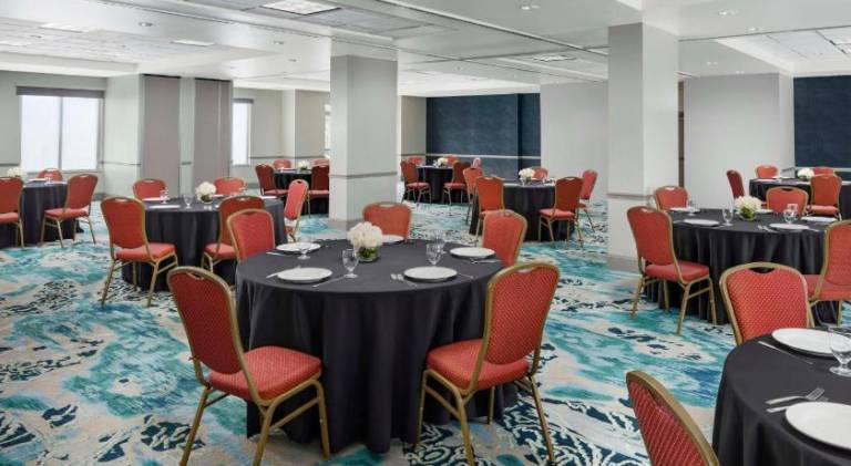 Hilton Garden Inn Orlando at Seaworld — photo 5