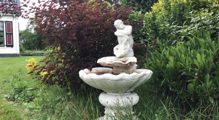 foto18