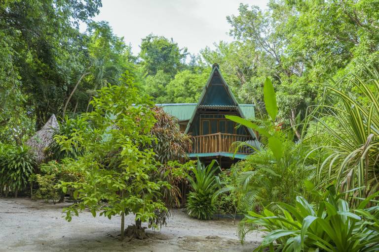 Cabin Cabuya