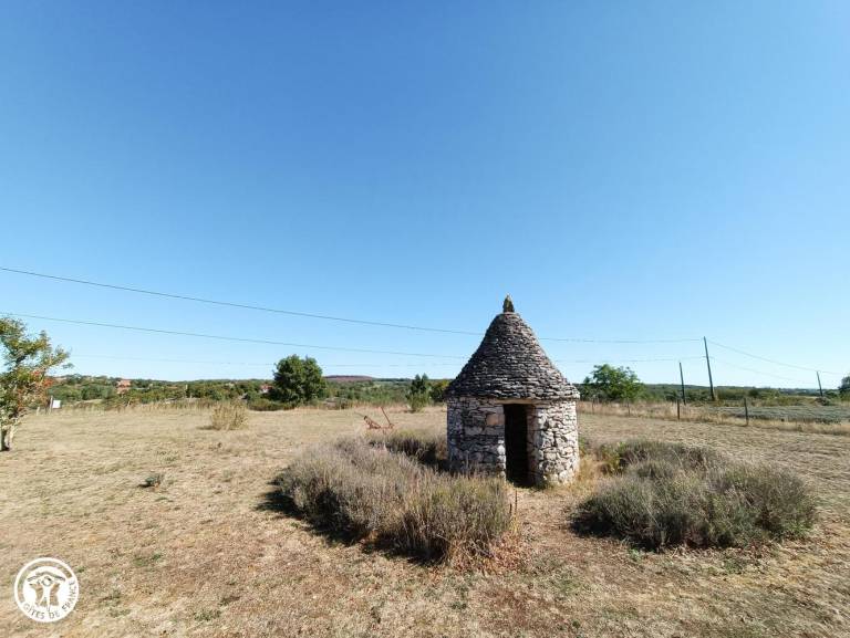 foto12