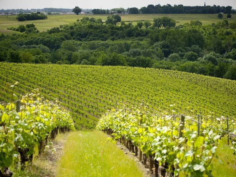 Logement Chalonnes-sur-Loire