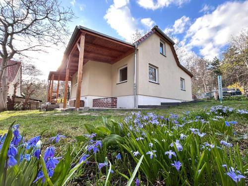 House Hellerau