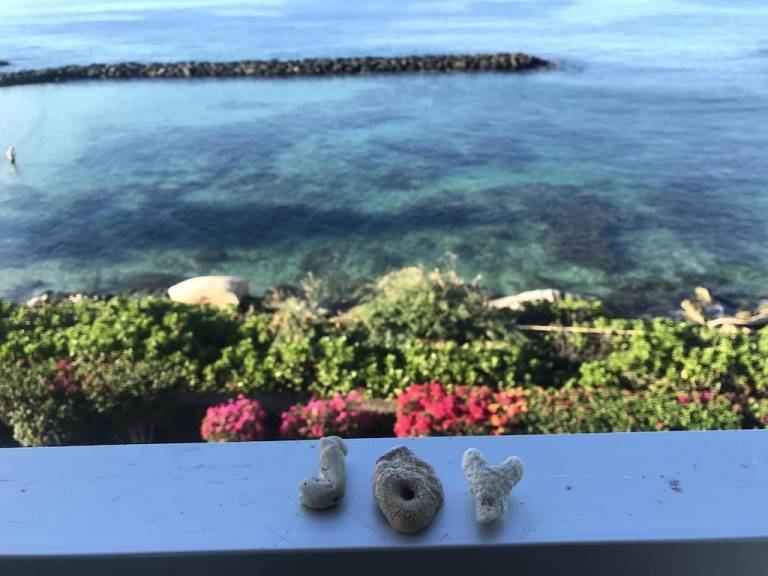 Condo  Waianae
