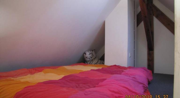 foto20