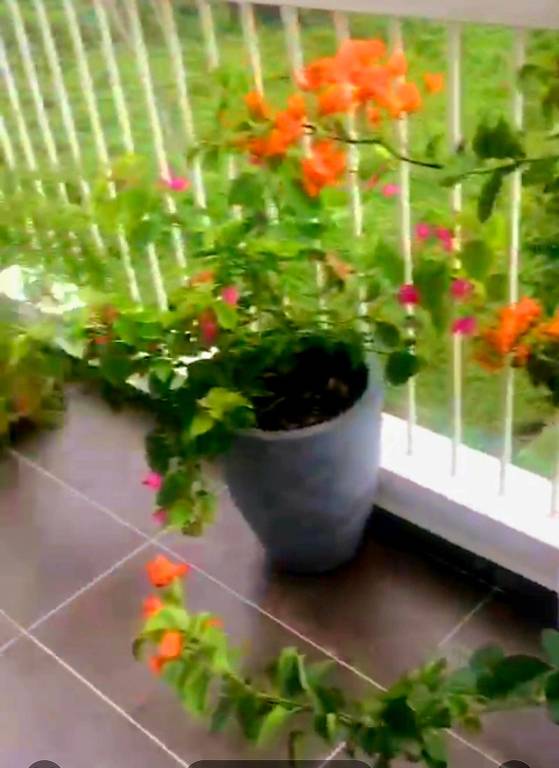 foto40