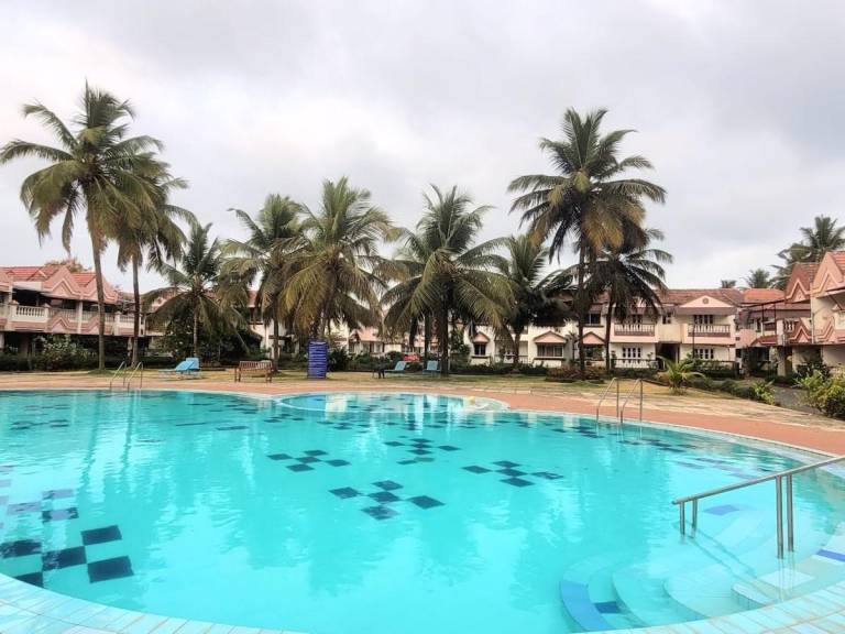 Charming house with pool & yard | Close to the beach | Pets are welcome — photo 3