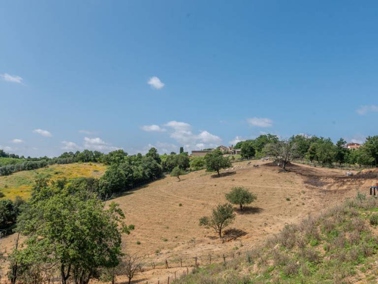 foto46