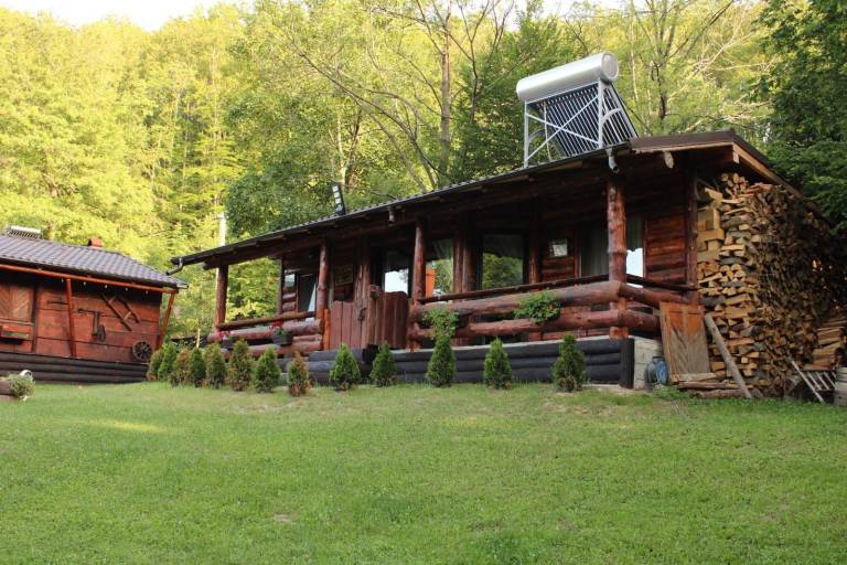 Cabin Sălătruc