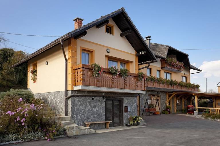 Apartma Vinji Vrh
