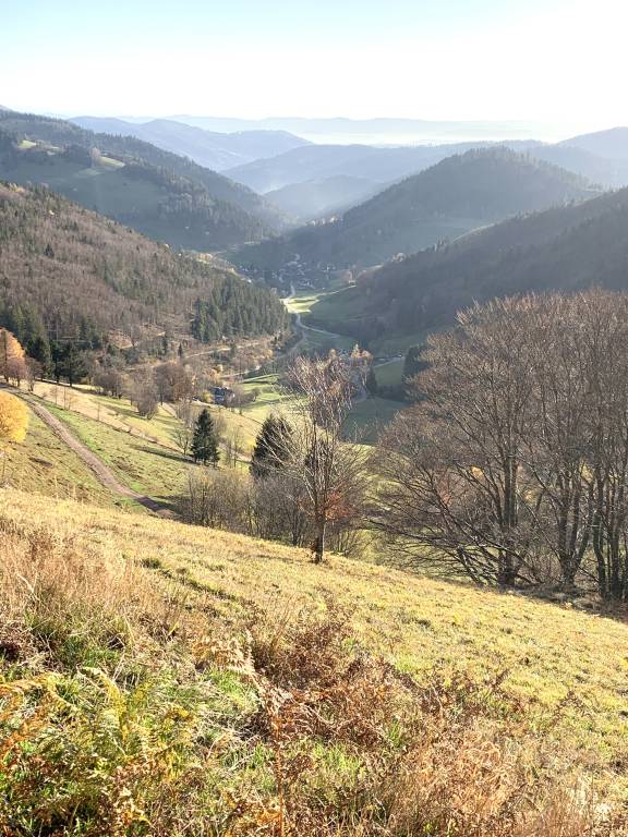 foto26