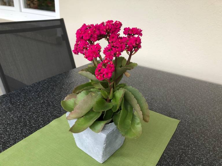 foto10