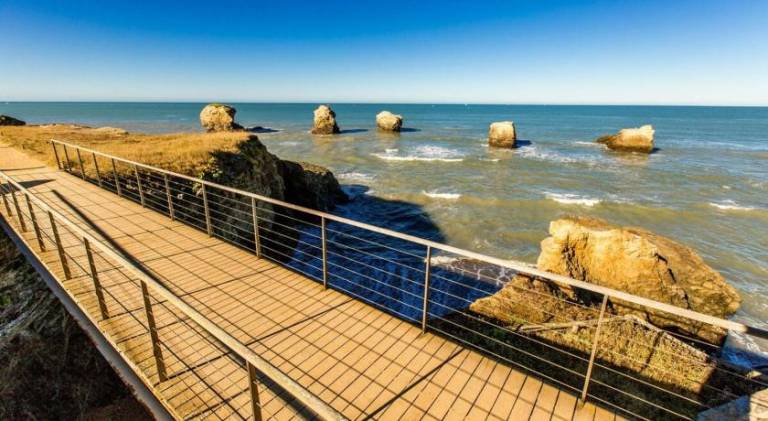 Vacation home | Beach nearby | Pets allowed — photo 4