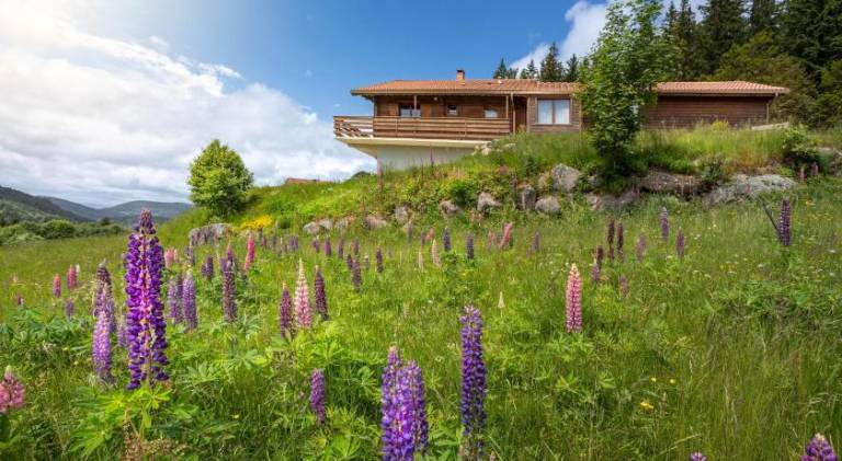 Chalet with 4 rooms for 10 persons in Gérardmer