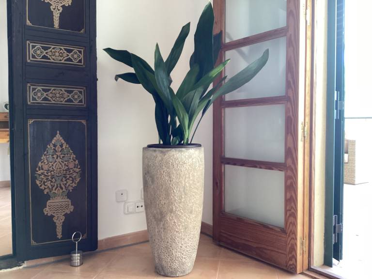 foto16