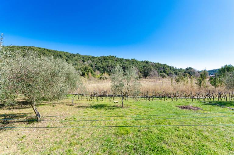 Rental apartment with BBQ, terrace & garden | Garden view — photo 2