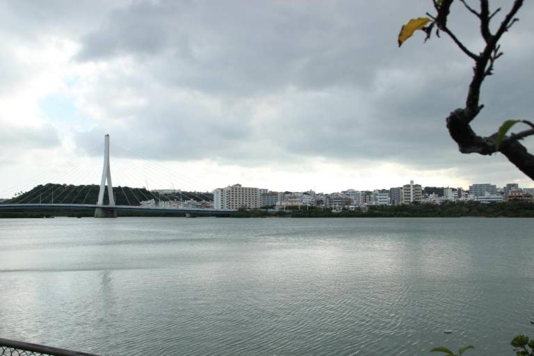 foto8