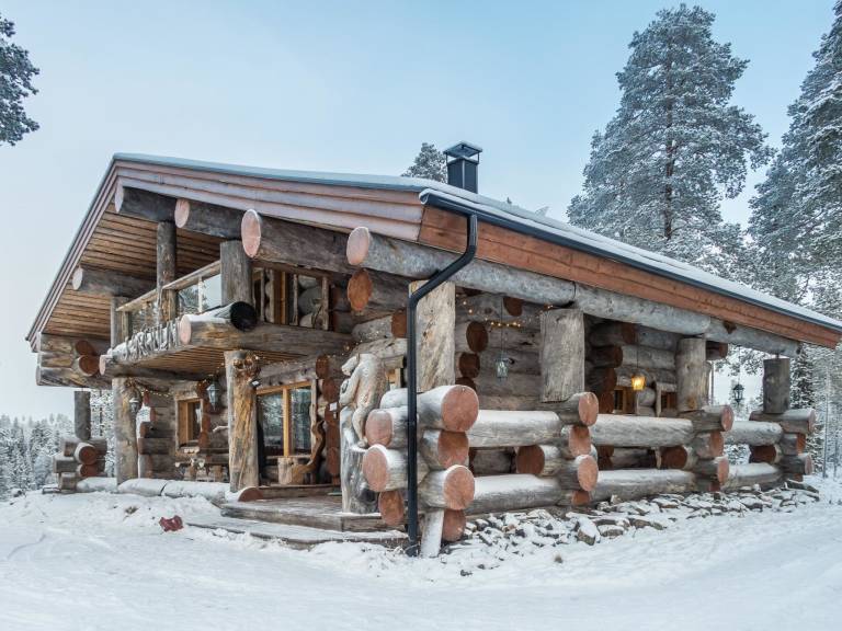House with sauna | Pets allowed — photo 4