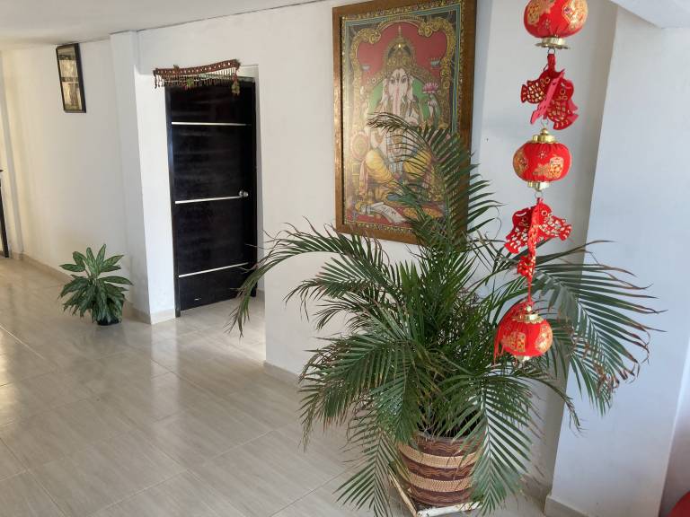 foto4