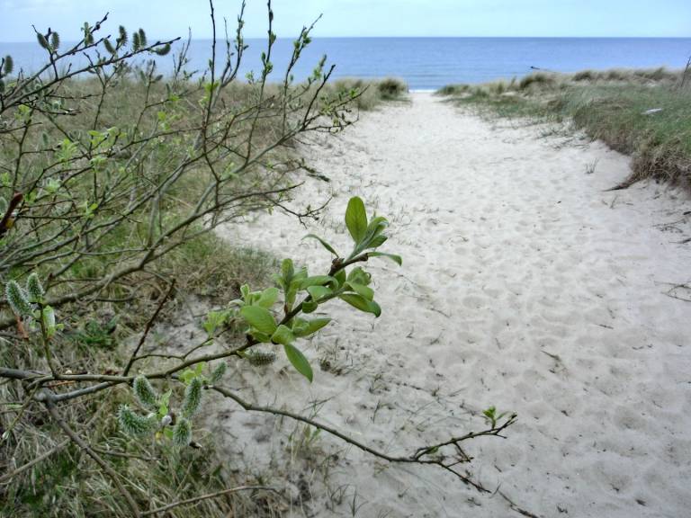 foto13