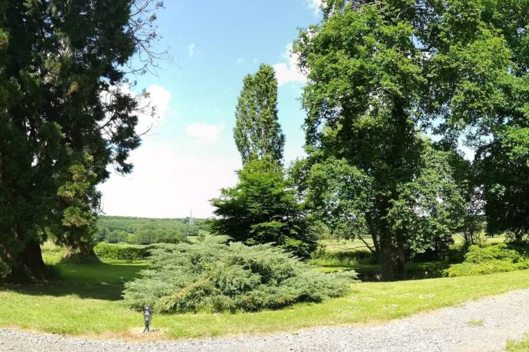 foto19