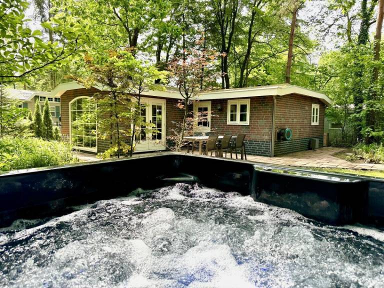 Chalet Biddinghuizen