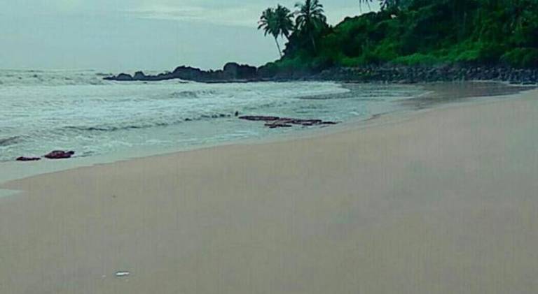 Bed and breakfast Kannur