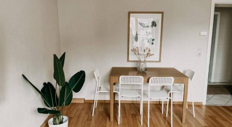 Holiday apartment | Pets are welcome — photo 3