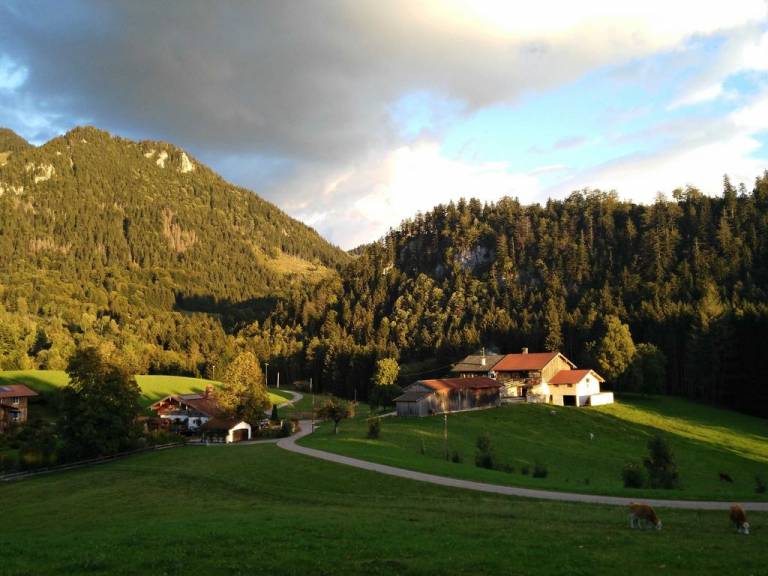 foto13
