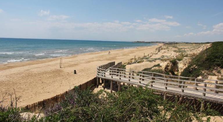 House | Beach nearby | Dogs allowed — photo 5