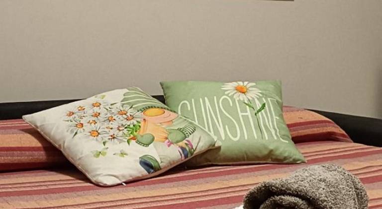 House with 1 room for 4 persons in Novara