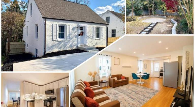 House | Dogs allowed in Falls Church, VA