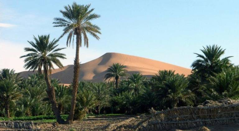 Hotel Riad Oasis in Rissani