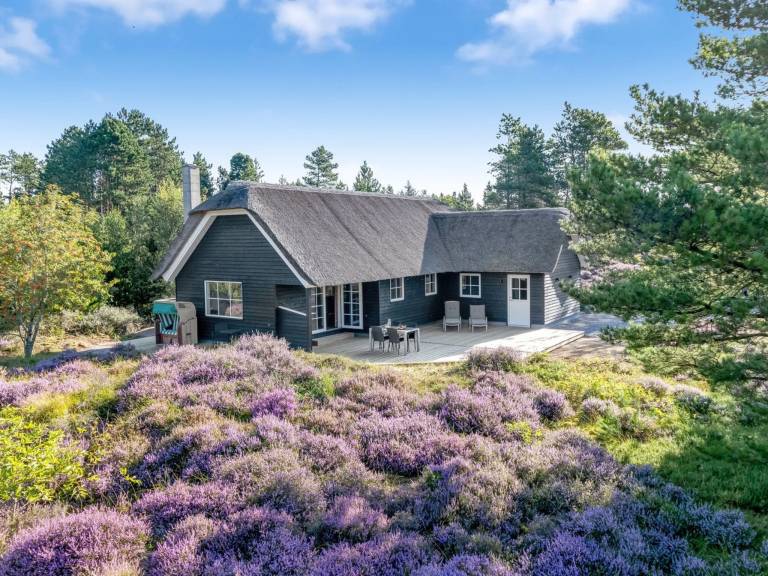 Ferienhaus  Kongsmark
